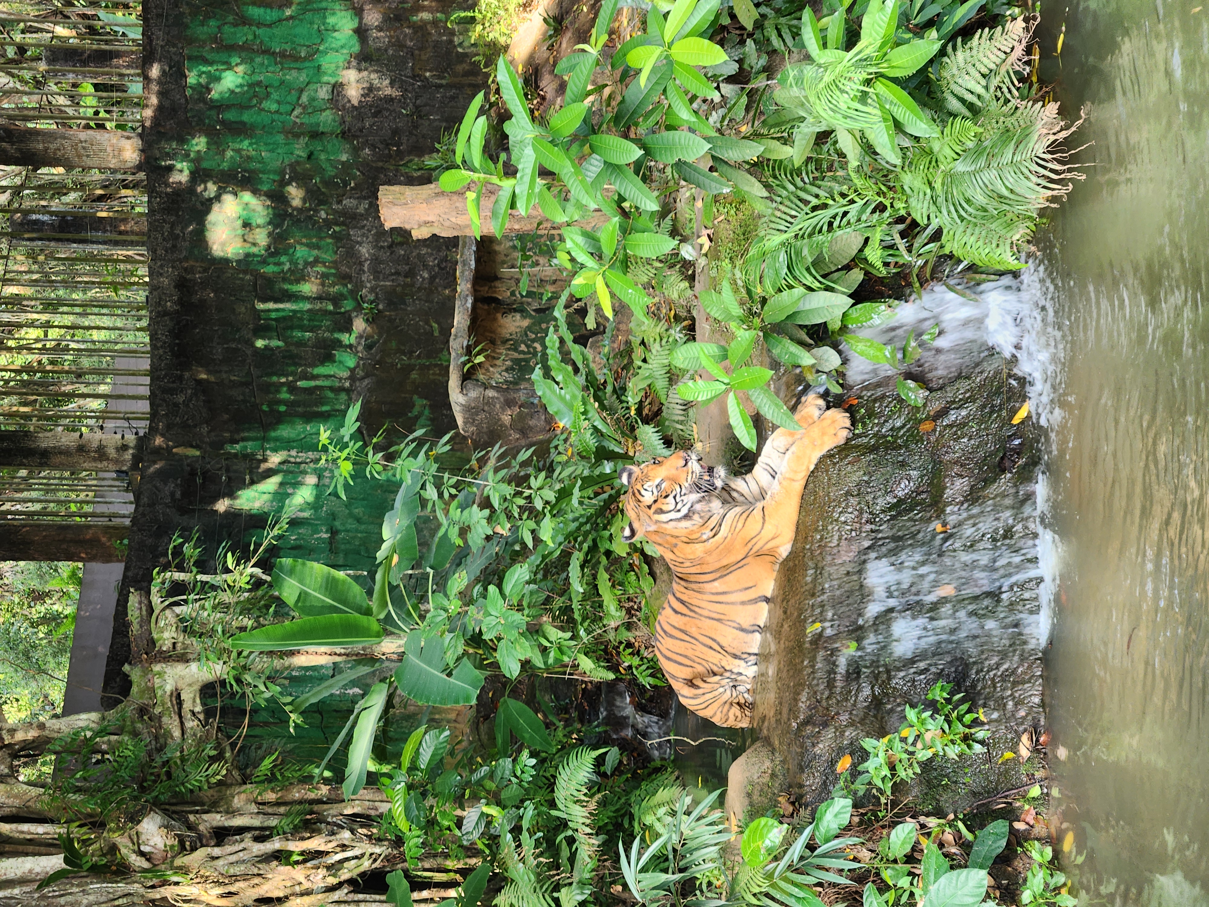 Amazing Zoo Melaka